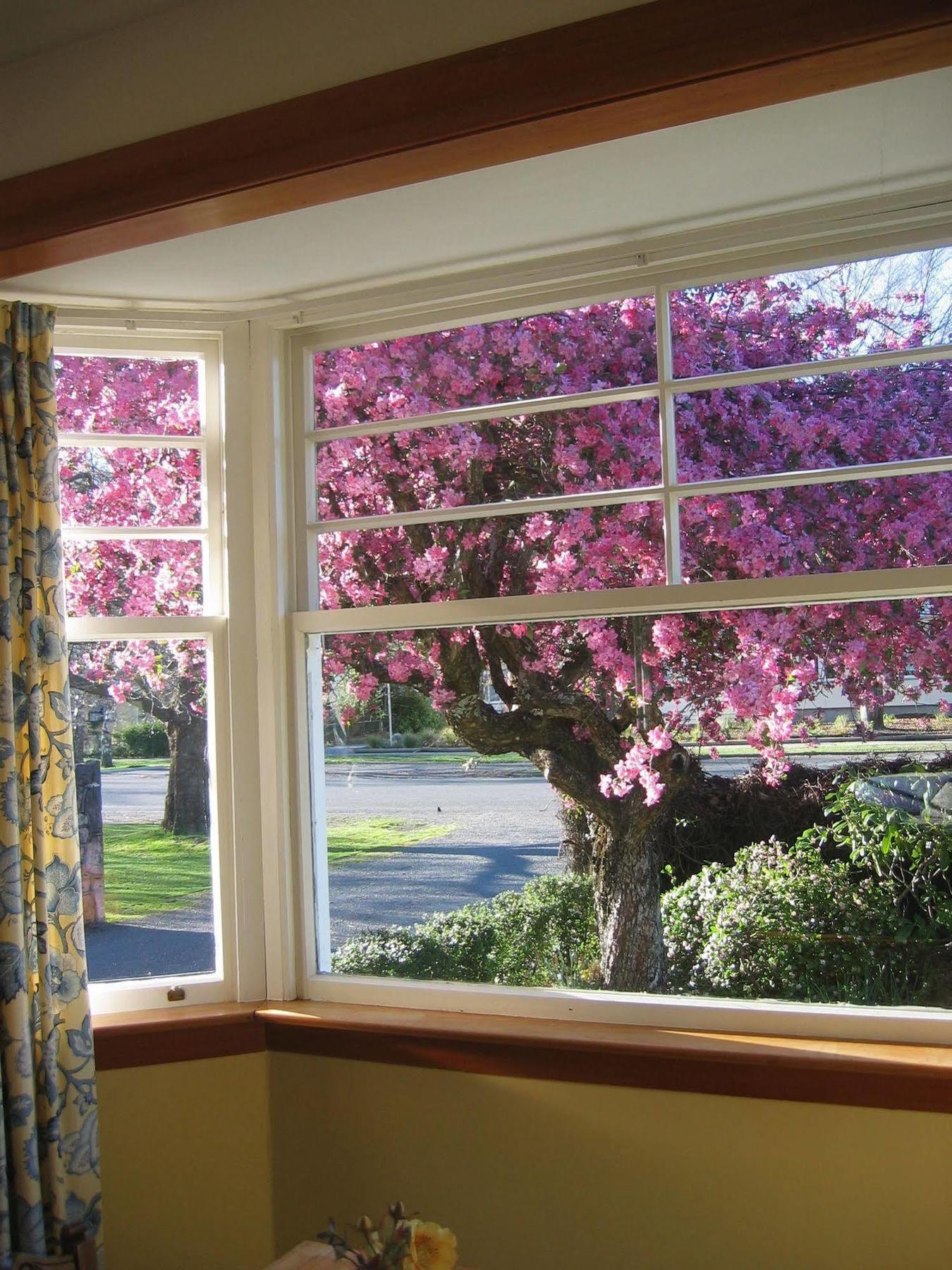 Cheltenham House Hanmer Springs Luaran gambar